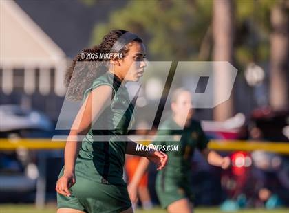 Thumbnail 3 in Western Harnett @ Pine Forest photogallery.