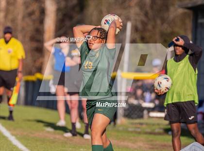 Thumbnail 1 in Western Harnett @ Pine Forest photogallery.
