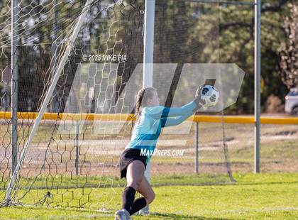 Thumbnail 3 in Western Harnett @ Pine Forest photogallery.