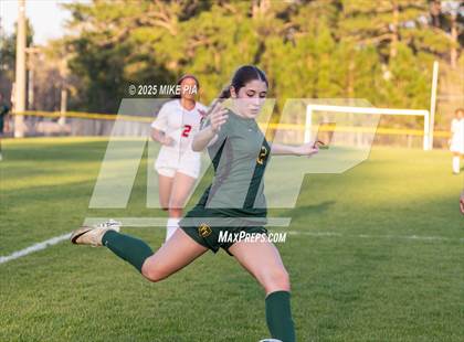 Thumbnail 3 in Western Harnett @ Pine Forest photogallery.