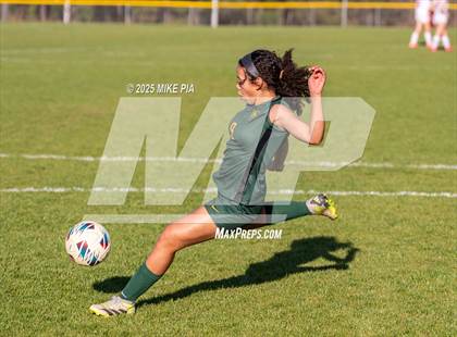 Thumbnail 2 in Western Harnett @ Pine Forest photogallery.