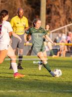 Photo from the gallery "Western Harnett @ Pine Forest"
