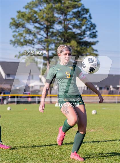 Thumbnail 1 in Western Harnett @ Pine Forest photogallery.
