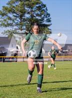 Photo from the gallery "Western Harnett @ Pine Forest"