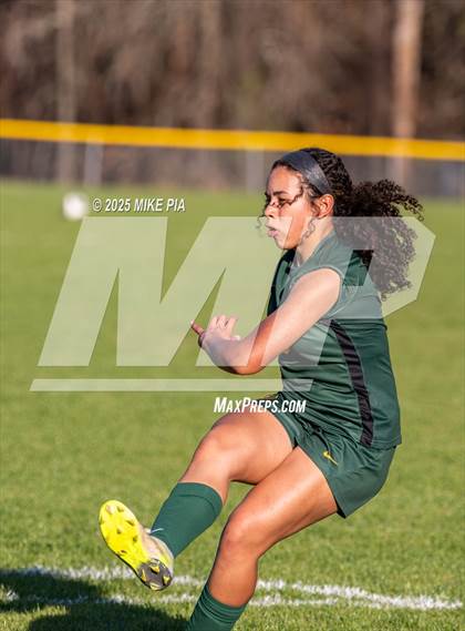 Thumbnail 1 in Western Harnett @ Pine Forest photogallery.