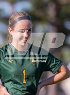 Photo from the gallery "Western Harnett @ Pine Forest"