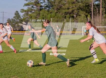 Thumbnail 2 in Western Harnett @ Pine Forest photogallery.