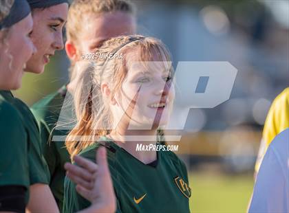Thumbnail 3 in Western Harnett @ Pine Forest photogallery.