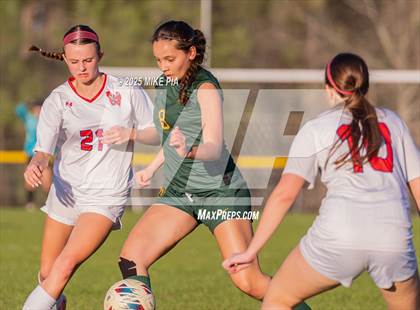 Thumbnail 1 in Western Harnett @ Pine Forest photogallery.