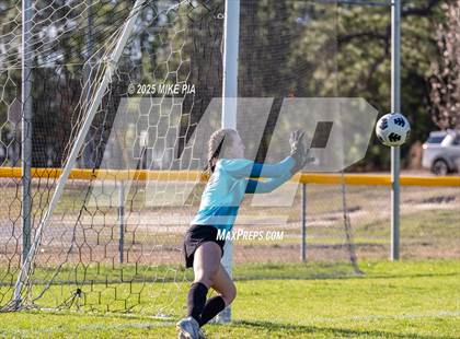 Thumbnail 2 in Western Harnett @ Pine Forest photogallery.
