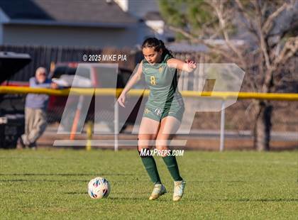 Thumbnail 3 in Western Harnett @ Pine Forest photogallery.