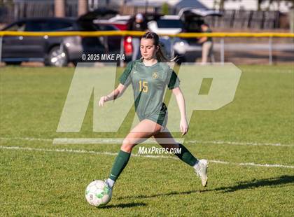 Thumbnail 3 in Western Harnett @ Pine Forest photogallery.