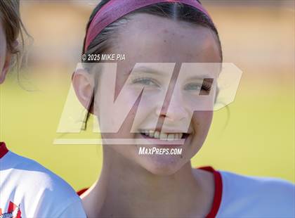 Thumbnail 3 in Western Harnett @ Pine Forest photogallery.