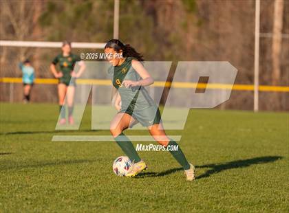 Thumbnail 3 in Western Harnett @ Pine Forest photogallery.