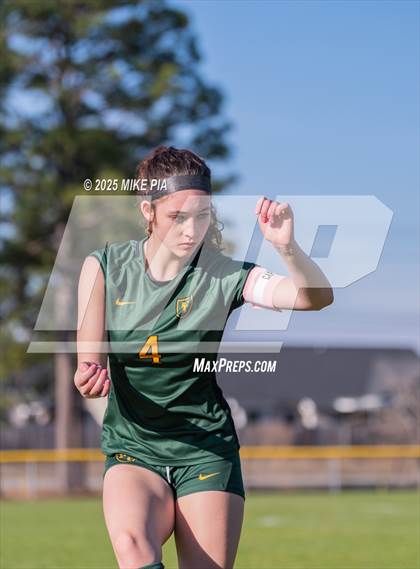 Thumbnail 2 in Western Harnett @ Pine Forest photogallery.