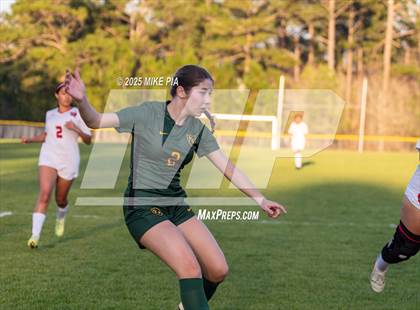 Thumbnail 1 in Western Harnett @ Pine Forest photogallery.