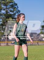 Photo from the gallery "Western Harnett @ Pine Forest"
