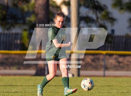 Thumbnail 1 in Western Harnett @ Pine Forest photogallery.