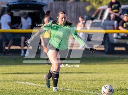 Thumbnail 3 in Western Harnett @ Pine Forest photogallery.