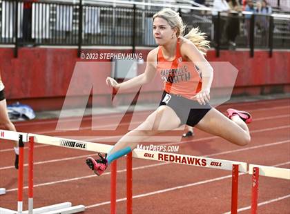 Thumbnail 1 in DuPage Valley Conference Meet photogallery.