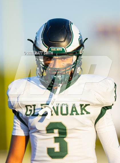 Thumbnail 3 in GlenOak @ Jackson photogallery.