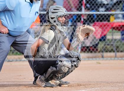 Thumbnail 1 in Falcon @ Sand Creek photogallery.