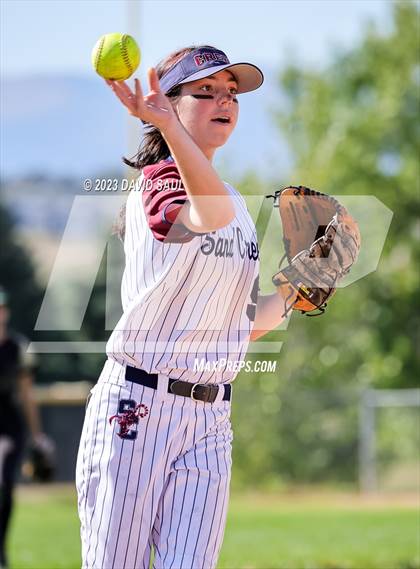 Thumbnail 1 in Falcon @ Sand Creek photogallery.