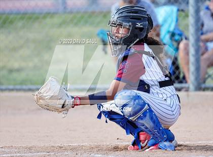 Thumbnail 3 in Falcon @ Sand Creek photogallery.