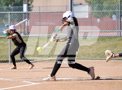 Thumbnail 1 in Falcon @ Sand Creek photogallery.