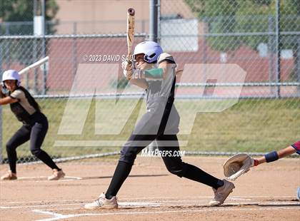 Thumbnail 1 in Falcon @ Sand Creek photogallery.