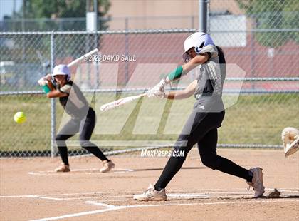 Thumbnail 2 in Falcon @ Sand Creek photogallery.