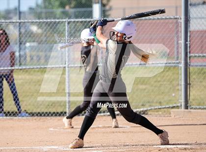 Thumbnail 2 in Falcon @ Sand Creek photogallery.