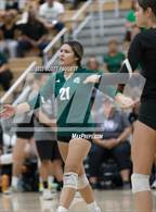 Photo from the gallery "Murrieta Mesa @ Chaparral"