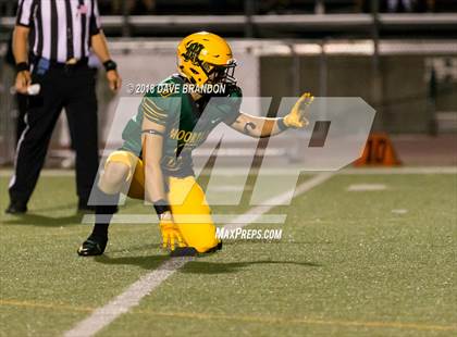Thumbnail 1 in Higley @ Moorpark photogallery.