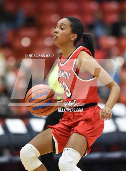 Thumbnail 3 in Whitney Young vs. Homewood-Flossmoor (Chicago Elite Classic) photogallery.