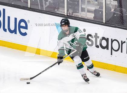 Thumbnail 1 in Arlington vs Austin Prep (MIAA Divison 1 State Final) photogallery.
