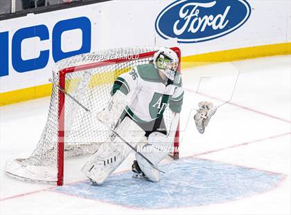 Thumbnail 2 in Arlington vs Austin Prep (MIAA Divison 1 State Final) photogallery.