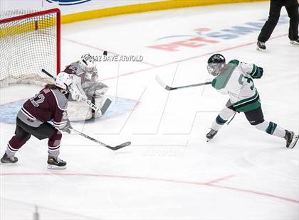 Thumbnail 2 in Arlington vs Austin Prep (MIAA Divison 1 State Final) photogallery.