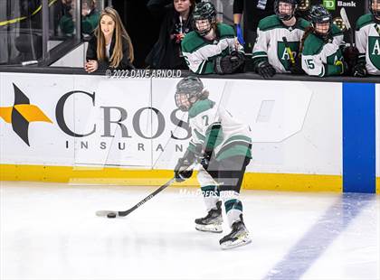 Thumbnail 1 in Arlington vs Austin Prep (MIAA Divison 1 State Final) photogallery.