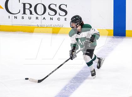 Thumbnail 3 in Arlington vs Austin Prep (MIAA Divison 1 State Final) photogallery.