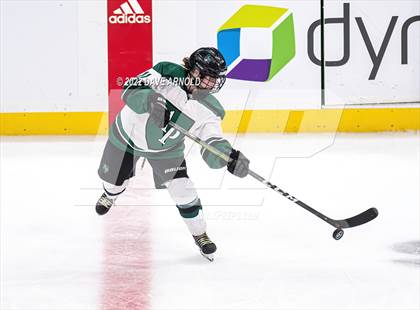 Thumbnail 1 in Arlington vs Austin Prep (MIAA Divison 1 State Final) photogallery.