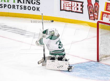 Thumbnail 2 in Arlington vs Austin Prep (MIAA Divison 1 State Final) photogallery.