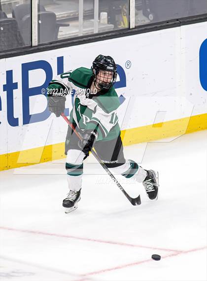 Thumbnail 1 in Arlington vs Austin Prep (MIAA Divison 1 State Final) photogallery.