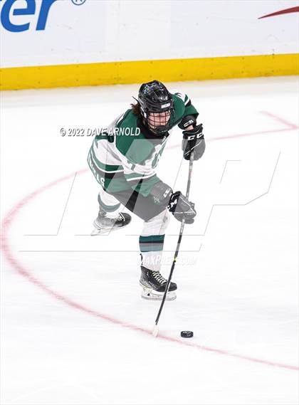 Thumbnail 2 in Arlington vs Austin Prep (MIAA Divison 1 State Final) photogallery.