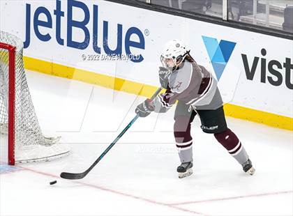 Thumbnail 1 in Arlington vs Austin Prep (MIAA Divison 1 State Final) photogallery.