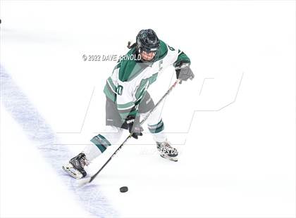 Thumbnail 1 in Arlington vs Austin Prep (MIAA Divison 1 State Final) photogallery.