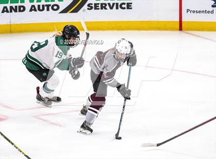 Thumbnail 2 in Arlington vs Austin Prep (MIAA Divison 1 State Final) photogallery.