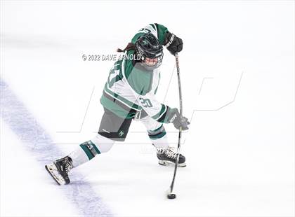 Thumbnail 2 in Arlington vs Austin Prep (MIAA Divison 1 State Final) photogallery.