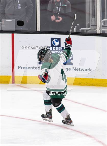 Thumbnail 3 in Arlington vs Austin Prep (MIAA Divison 1 State Final) photogallery.