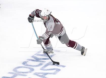 Thumbnail 2 in Arlington vs Austin Prep (MIAA Divison 1 State Final) photogallery.